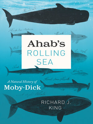 cover image of Ahab's Rolling Sea: a Natural History of "Moby-Dick"